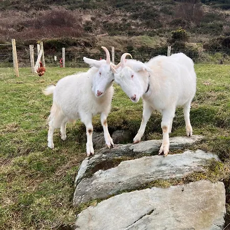Valentia View 3* Portmagee