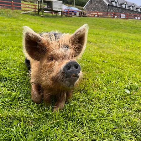 Valentia View Bed and breakfast Portmagee