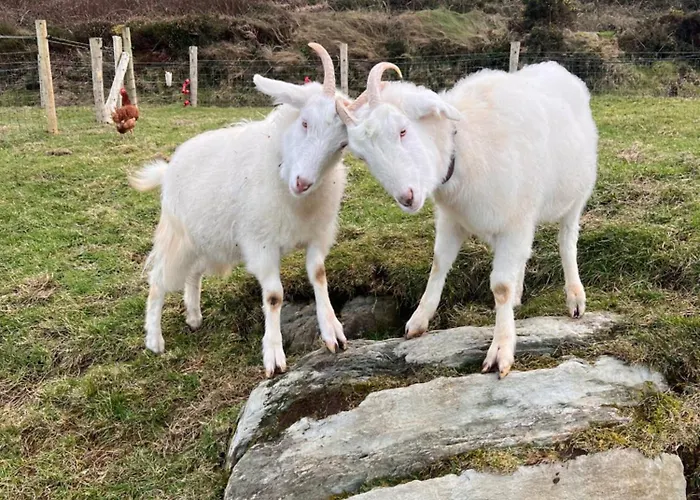 Valentia View 3* Portmagee