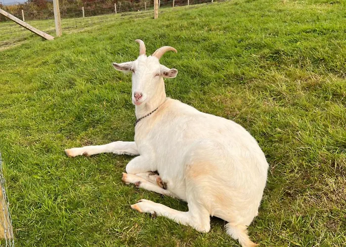 Panzió Valentia View 3*