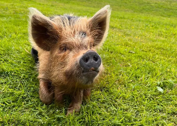 Valentia View Panzió Portmagee